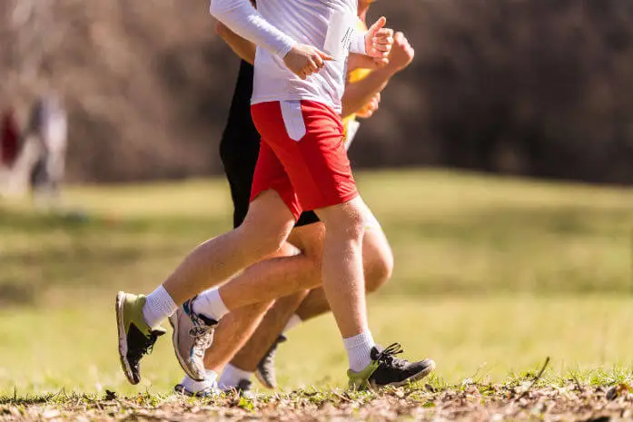 97946711_L-2.webp