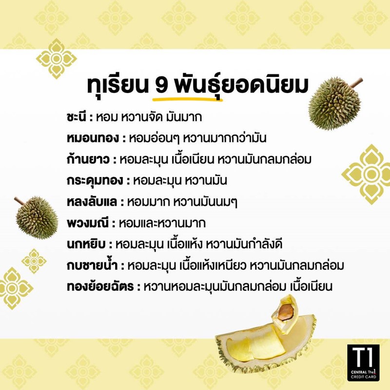 HappySummer ร้อนนี้ต้องอร่อย ทุเรียน เทศกาลทุเรียน เลือกทุเรียน Tops CentralThe1CreditCard